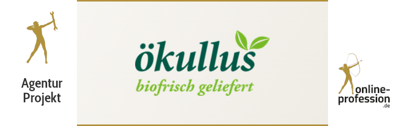 Klein, aber erfolgreich: Unsere Ads-Betreuung für Ökullus