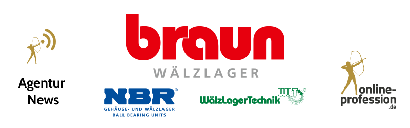 Braun Wälzlager: Erfolgreiche Webseitenerstellung mit Online-Profession