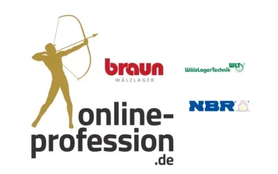 Braun Wälzlager: Erfolgreiche Webseitenerstellung mit Online Profession