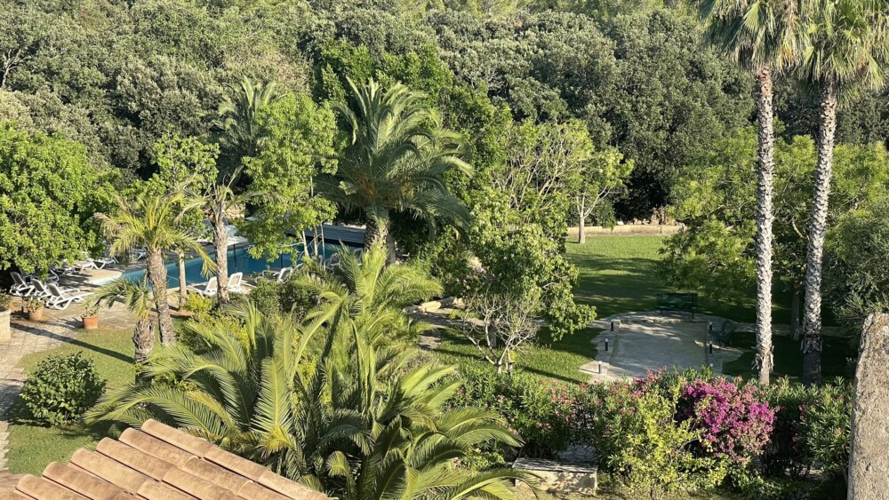 Der Ausblick aus der Finca auf der Workation 2025.