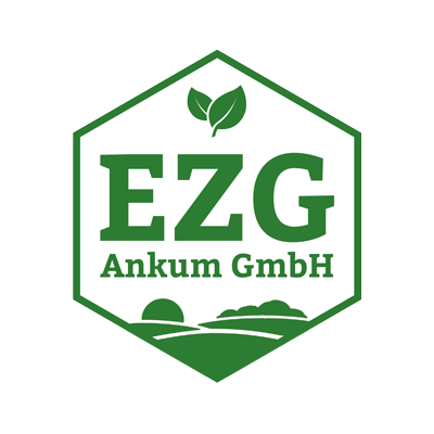 ezg-ankum.de